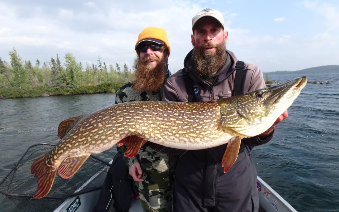Week 17 Update: Scott Lake Offered Up a Little Bit of Everything For the Last Week of the Season.