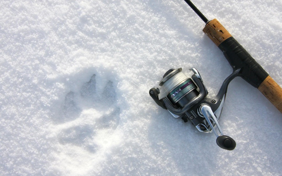 What’s Up in the Winter at Scott Lake