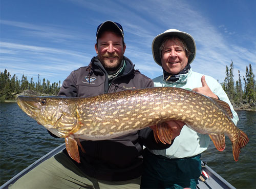 Northern Pike Lake Fishing Saskatchewan