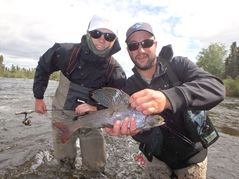 Arctic Grayling Fishing Canada Experience Scott Lake Lodge