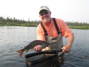 The Art of the Fish Photo: Capturing the Memory