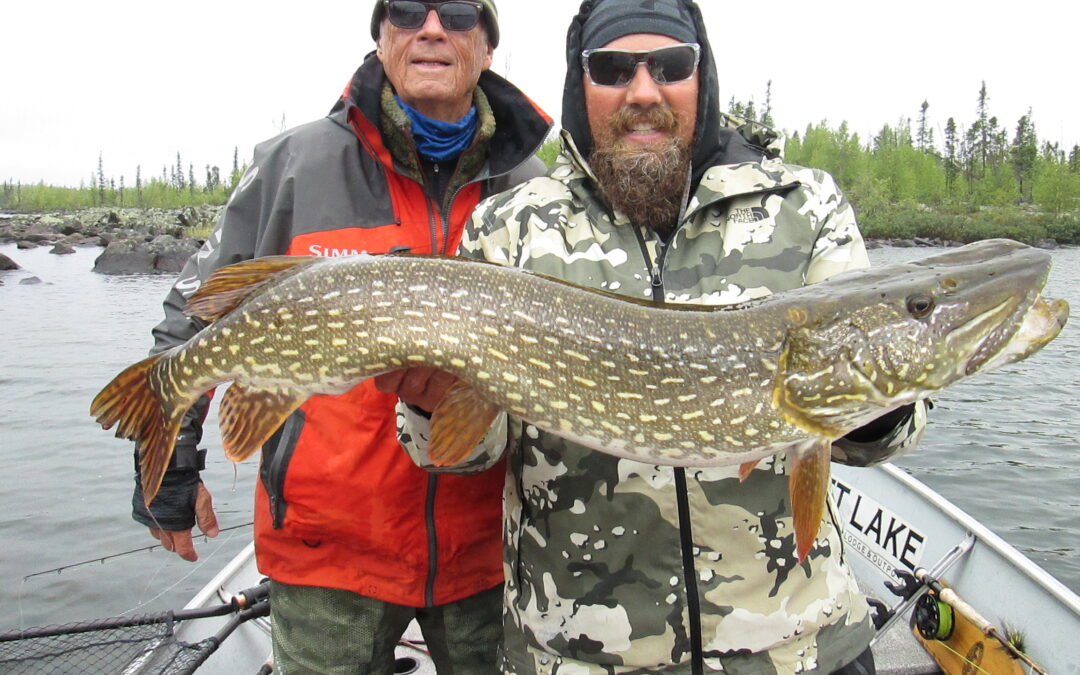 Attack of the Giant Lake Trout: Week 14 Fishing Update