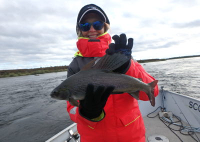 Grayling Lake Fishing Saskatchewan