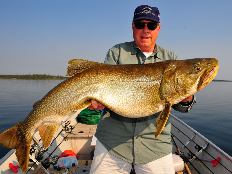 All About Lake Trout Fishing Scott Lake Lodge