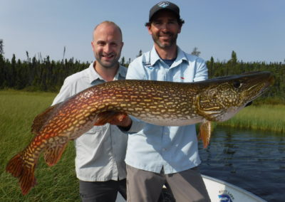 Northern Pike Lake Fishing Saskatchewan