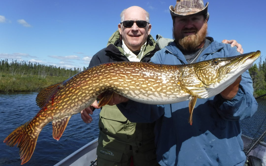 Week 13 Update – Summer in the North