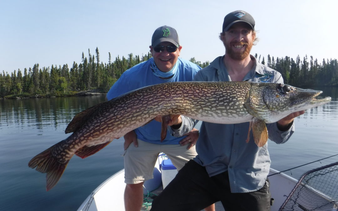 Week 14 Fishing Update – Northern Lights, Meteors, and Shorts Weather!