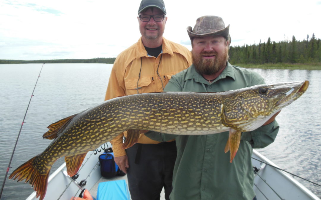 Northern Pike Fishing Saskatchewan