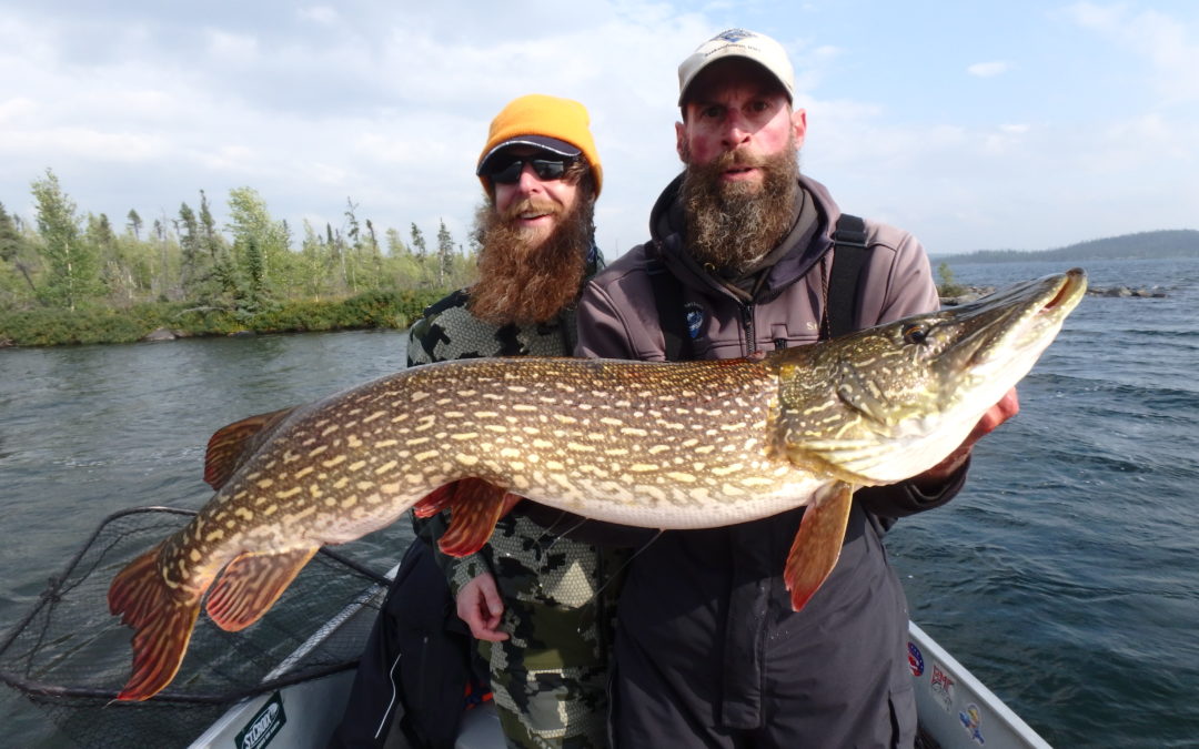 Week 17 Update: Scott Lake Offered Up a Little Bit of Everything For the Last Week of the Fishing Season