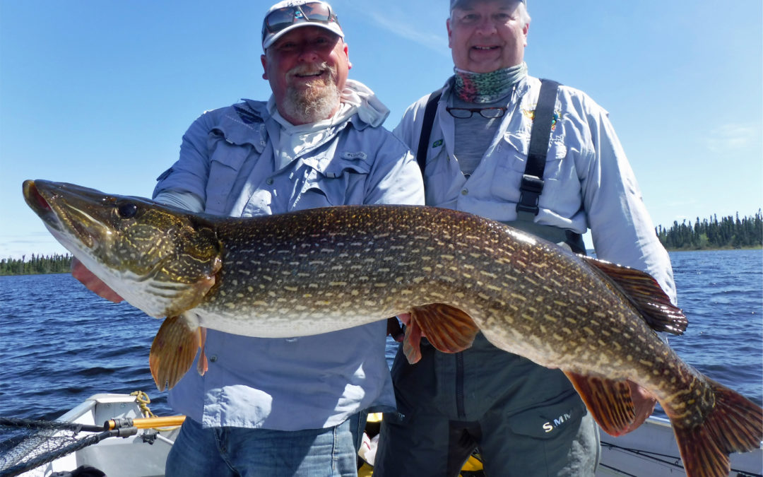 Big Northern Pike by Mike
