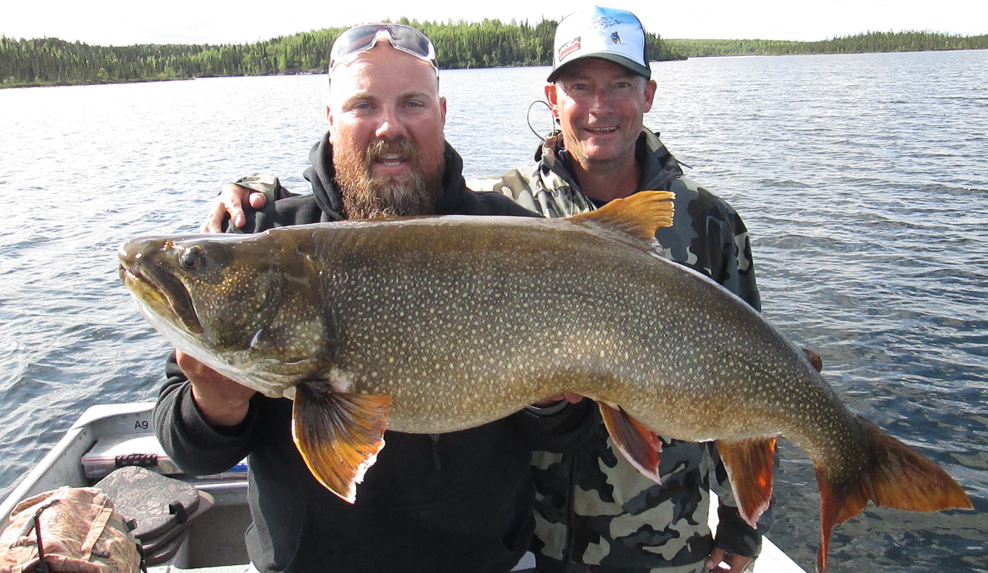 The Lake trout Experience