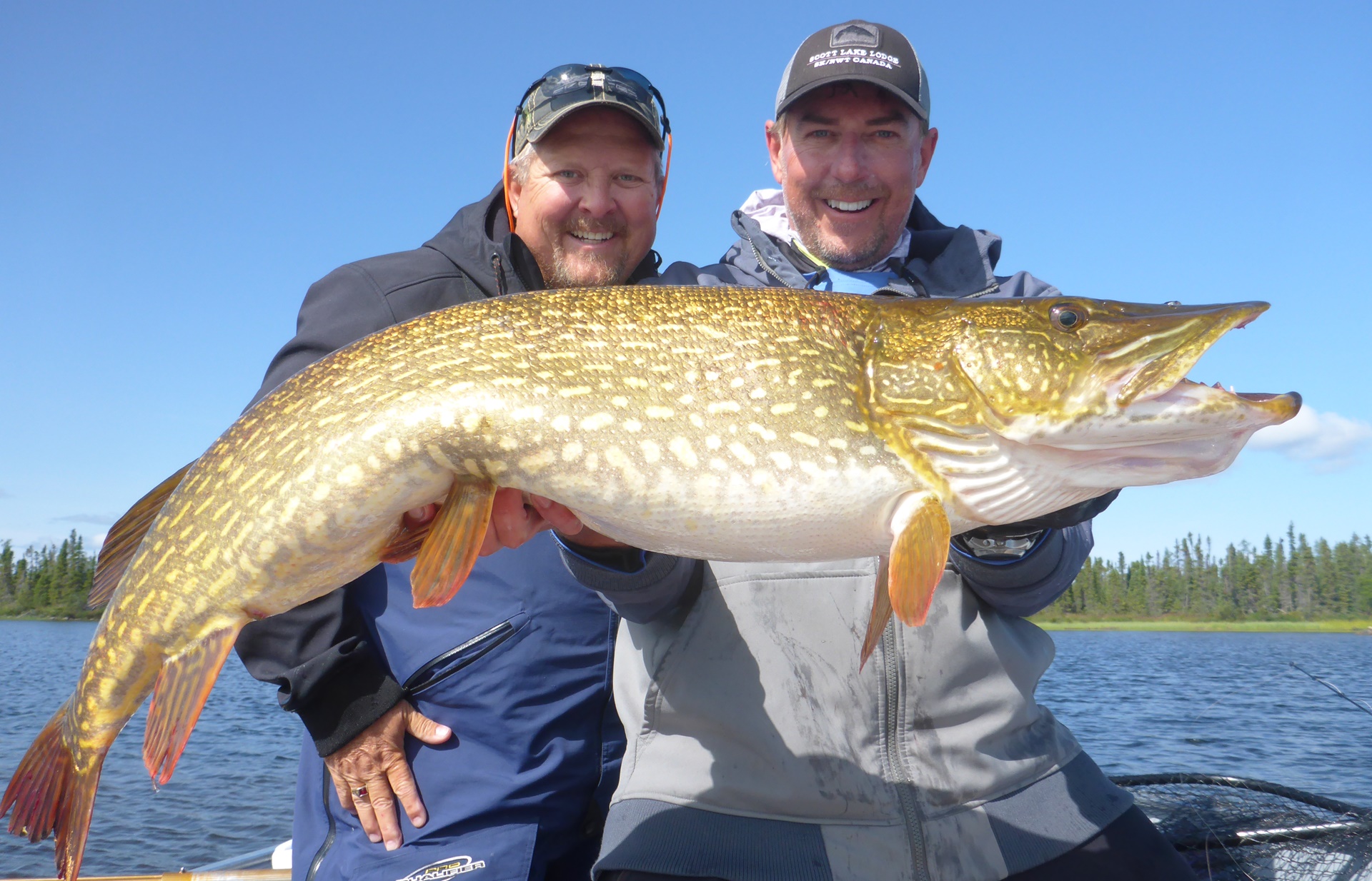 Northern Pike Experience