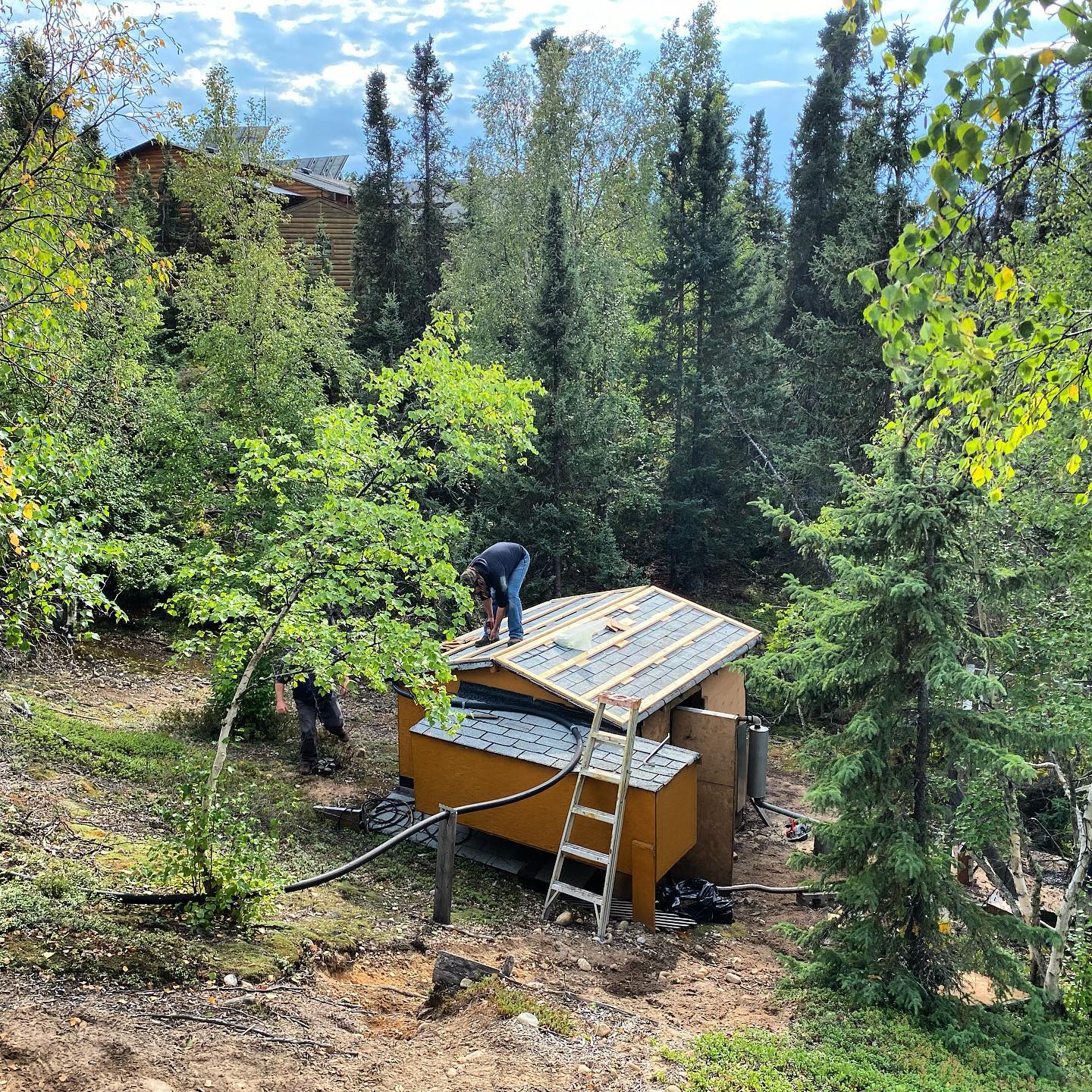 cabin_roof